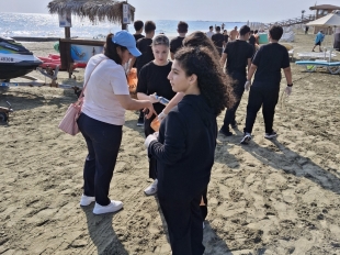 Καθαρισμός της ακτής του Μακένζυ